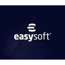 easysoft branches|Easysoft Company Profile .